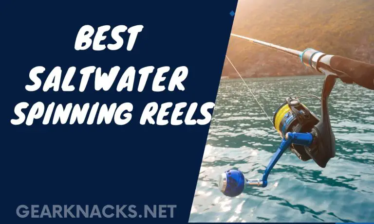Best Saltwater Spinning Reels Reviewed