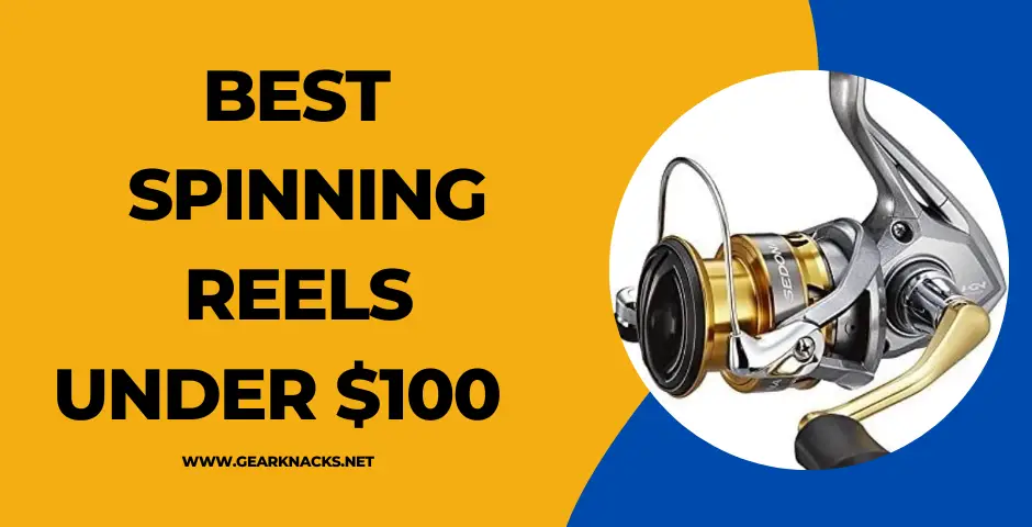 Best Spinning Reels Under 100