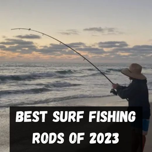 10 Best Surf Fishing Rods of 2023 Tested and Reviewed 