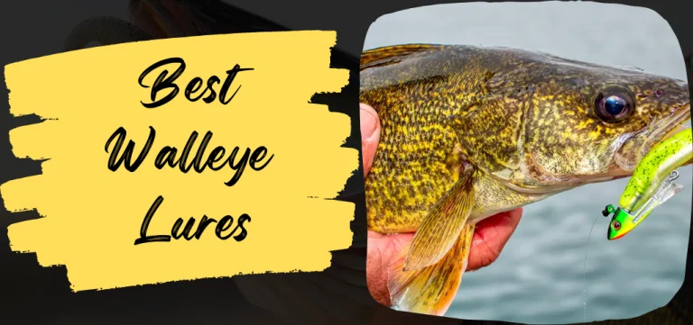 The Best Walleye Lures Tested and Reviewed