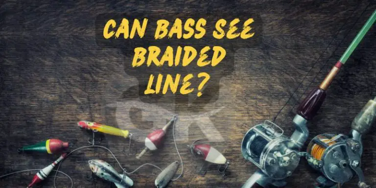 Can Bass See Braided Line?