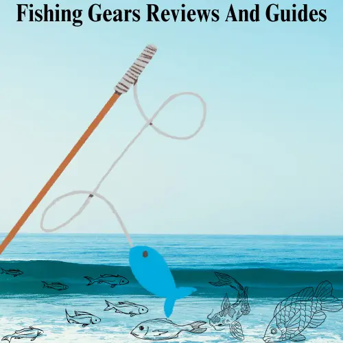 Fishing Gears Reviews And Guides