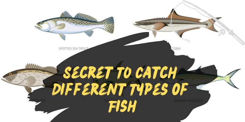 How to Catch Different Types of Fish