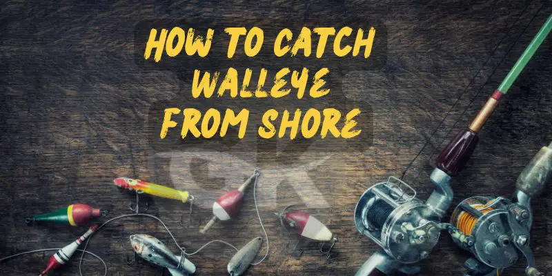 How to Catch Walleye from Shore