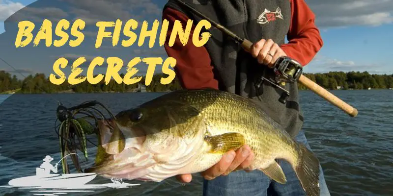 How to Fish for Bass
