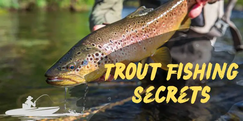 How to Fish for Trout