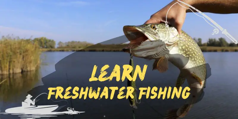 How to Fish in Freshwater