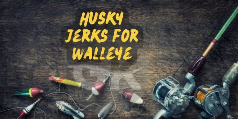 Husky Jerks for Walleye