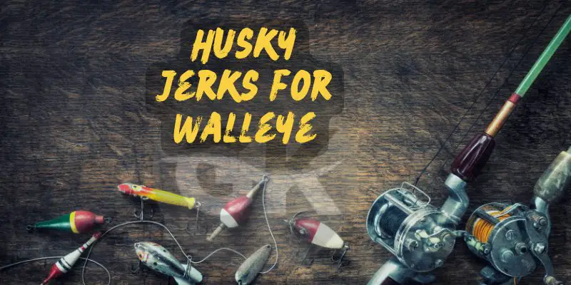 Husky Jerks for Walleye