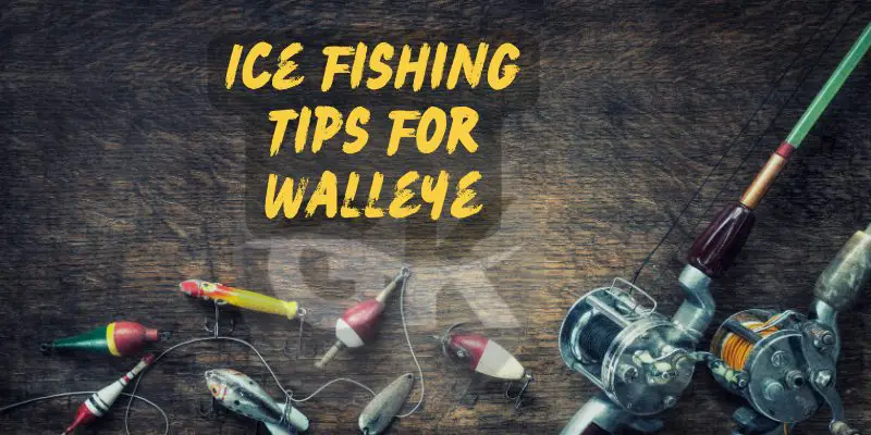 Ice Fishing Tips For Walleye