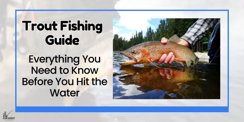 Trout Fishing Guide: Everything You Need to Know Before You Hit the Water